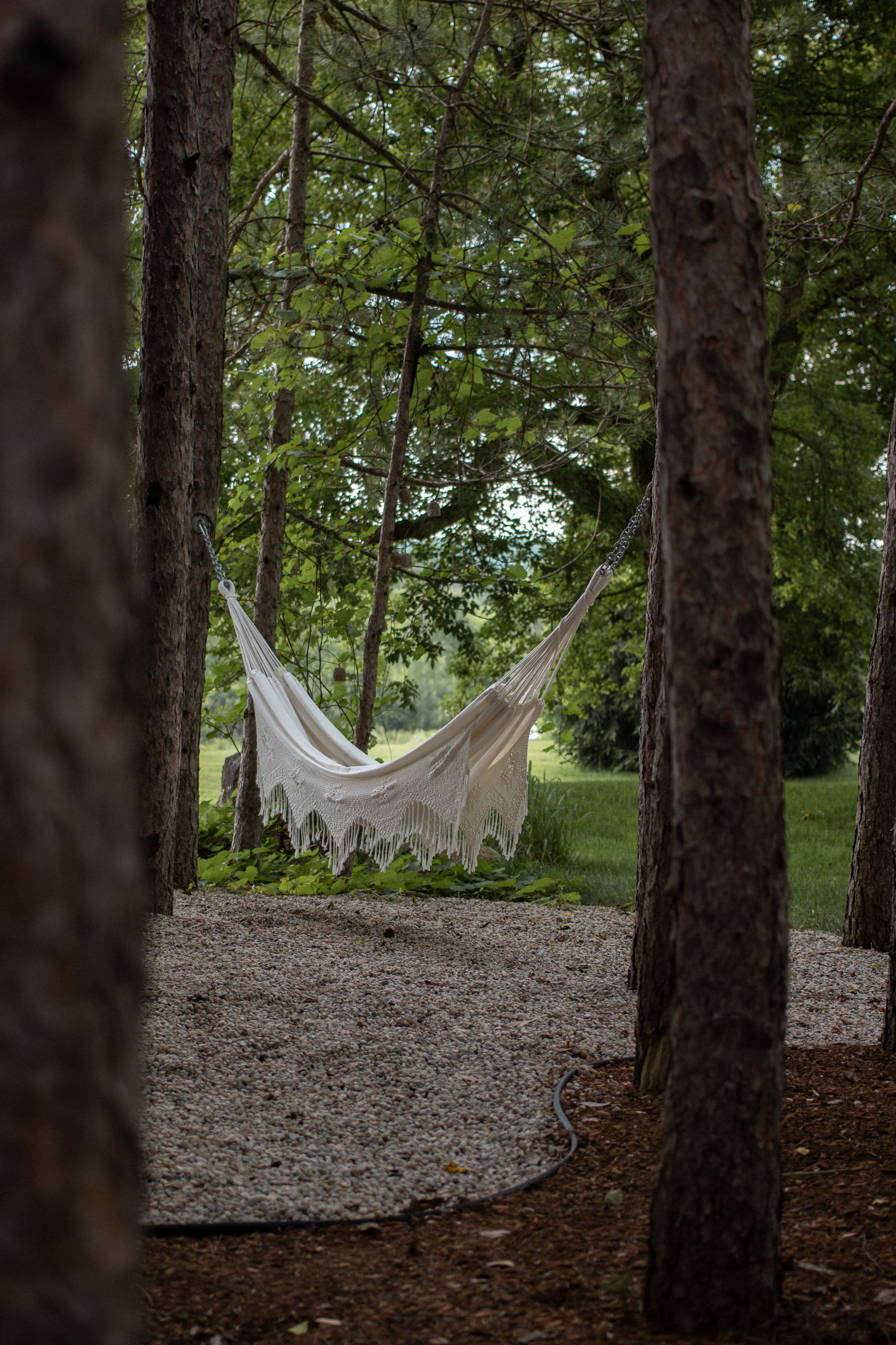 Summertime hammocks at the treehouse + cabin. #LTKHome #WayfairCanada 

 #LTKcanada #LTKcasa