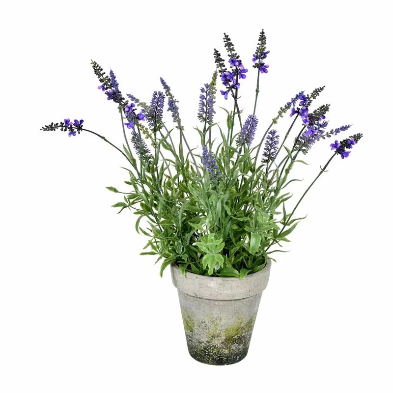 Lavender Floral Arrangement in Pot | Wayfair North America
