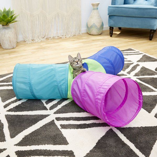 Frisco Foldable Play Tri-Tunnel Cat Toy | Chewy.com