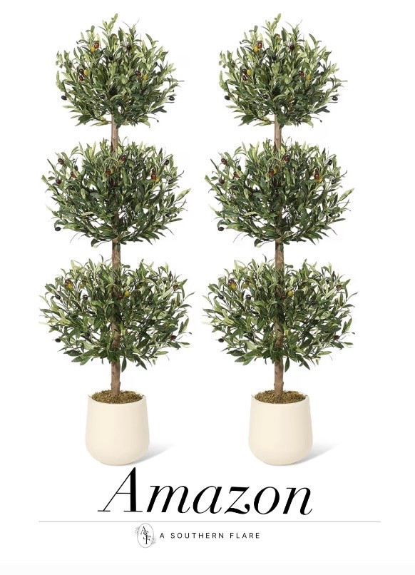 stunning olive trees. Perfect for any room. #HomeDecor #NatureIndoors / Home Accessories