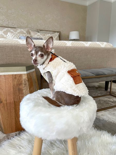 The cutest sherpa dog fleece!

Dog coat, dog sweater, dog clothes

#LTKfamily #LTKunder50 #LTKSeasonal