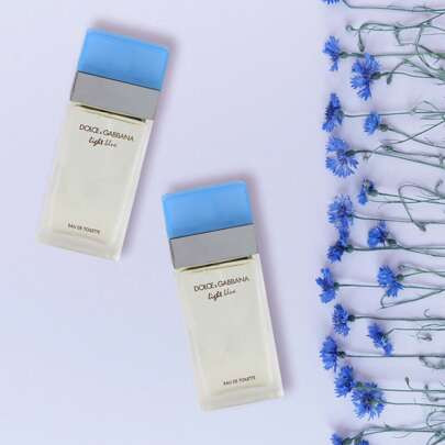 Dolce & Gabbana Light Blue Ladies - Eau De Toilette Spray .84 OZ | SHEIN