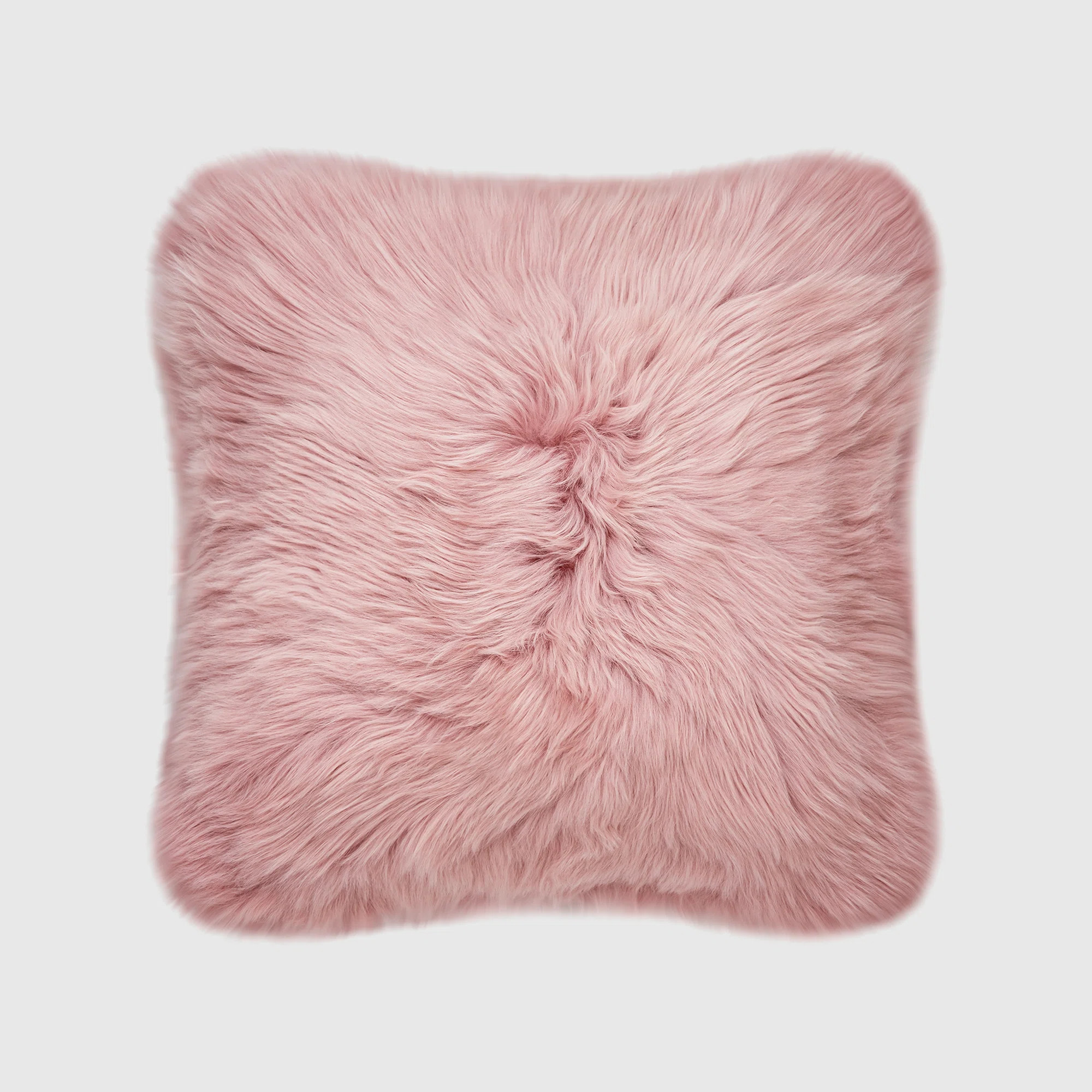 Fieldman Leather Throw Pillow | Joss & Main