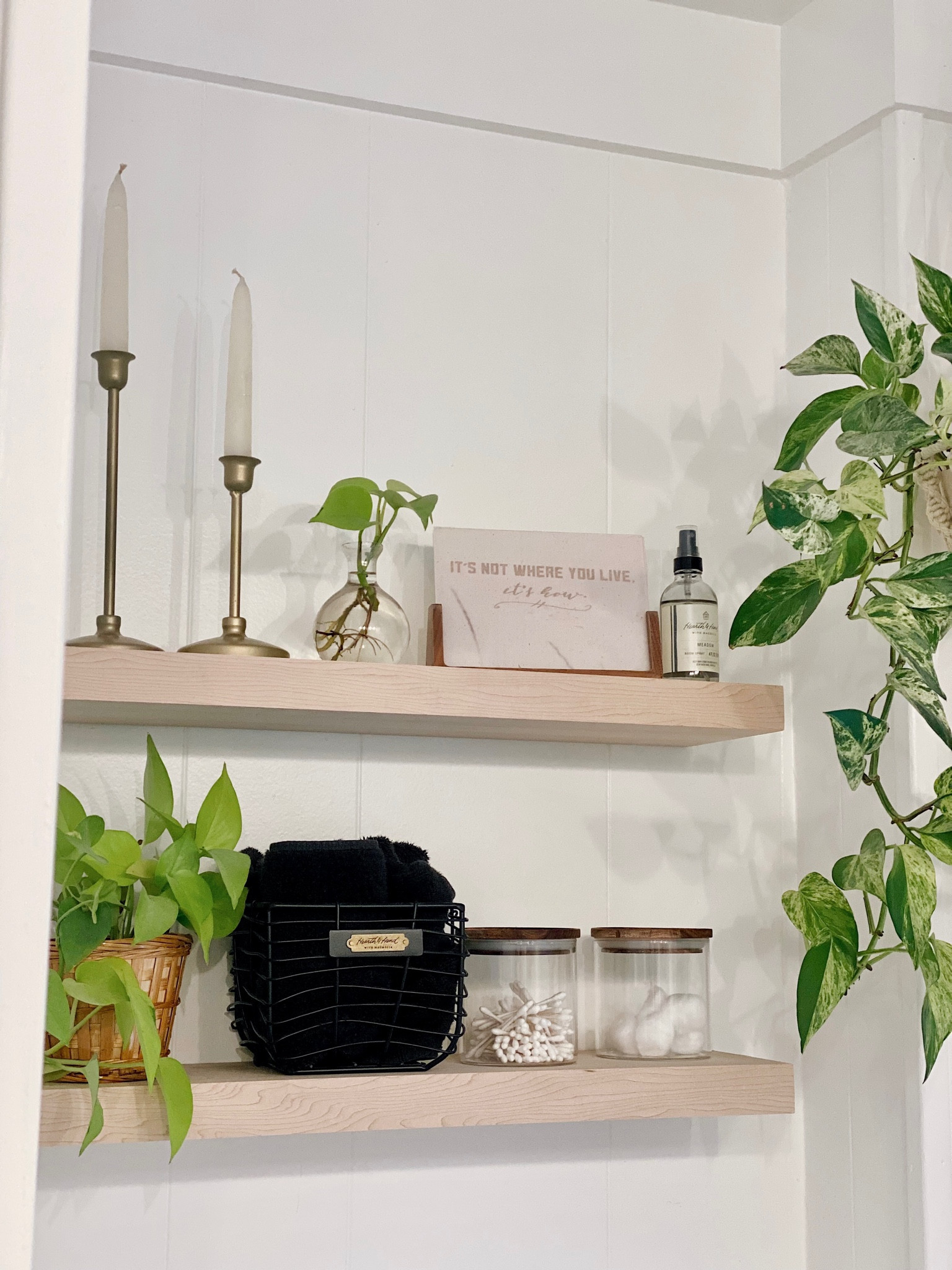 bathroom shelves are better w/ plants.🌱

#LTKhome #LTKbeauty #LTKSale