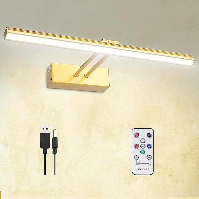 FUNCHDAY Picture Light, Remote Picture Light with Dimmable and Timer,Wireless Battery Picture Lig... | Amazon (US)