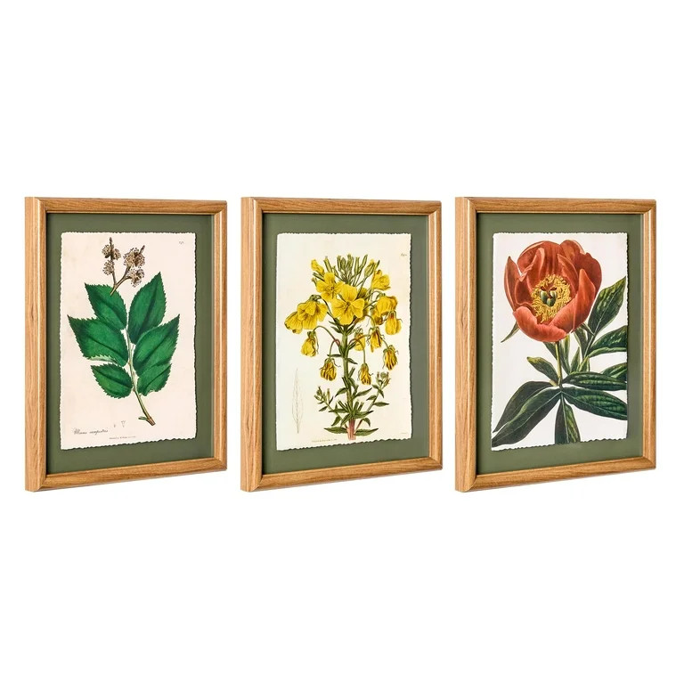Beautiful Framed Vintage Florals Elm Tree Leaves-Yellow Flowers-Peony Flower 3-Piece Set by Drew ... | Walmart (US)