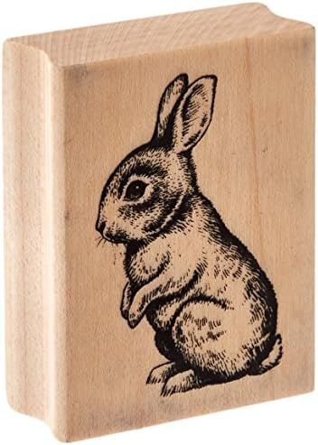 Inkadinkado Baby Bunny Wood Stamp for Easter Cards and Scrapbooking, 2.25'' W x 1.75'' L | Amazon (US)