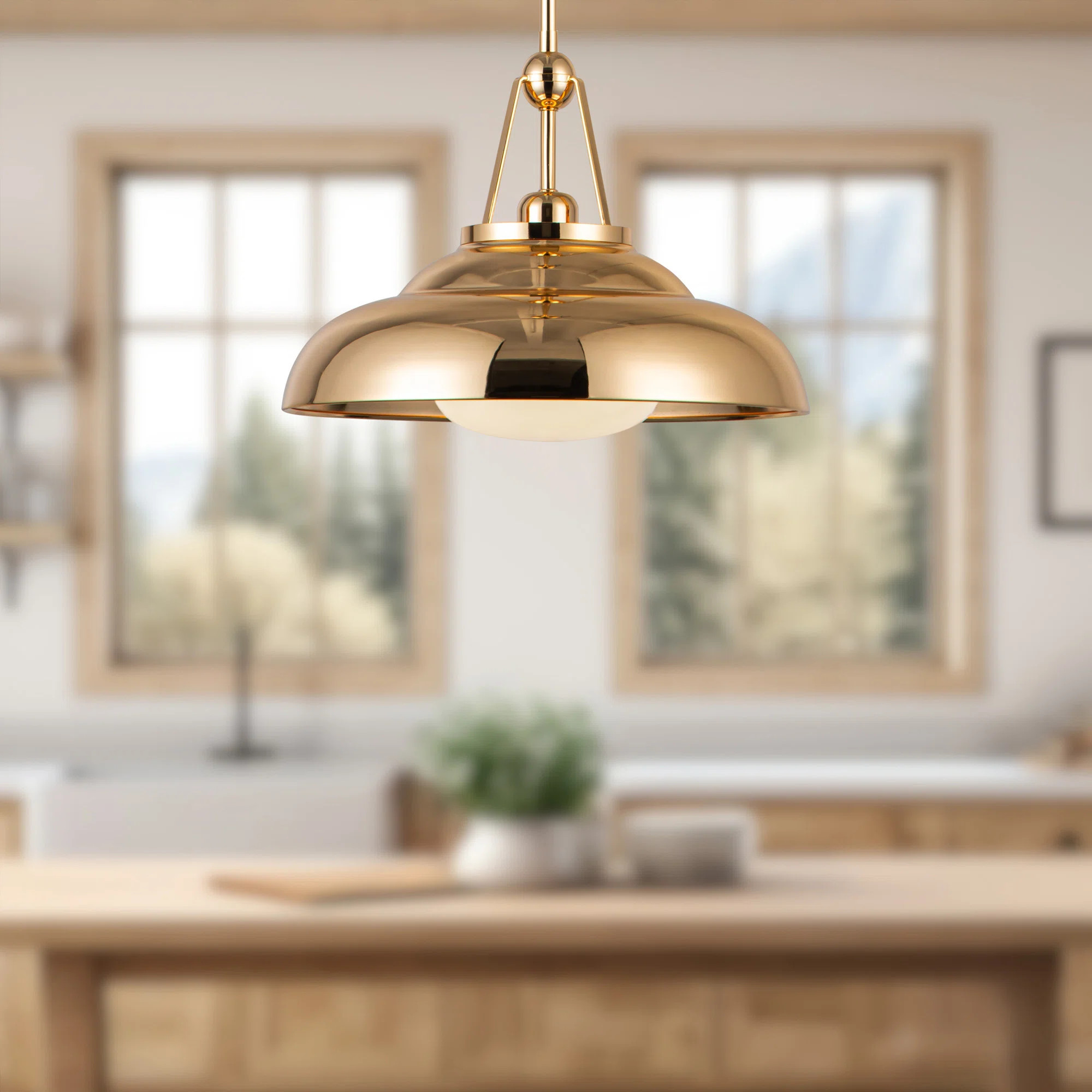Palmetto 1 - Light Dome Pendant | Wayfair North America