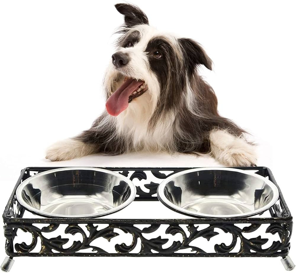 Saim Dog Bowls with Stand Stainless Steel Raised Food and Water Bowl for Small Pet Elevated Food ... | Amazon (US)