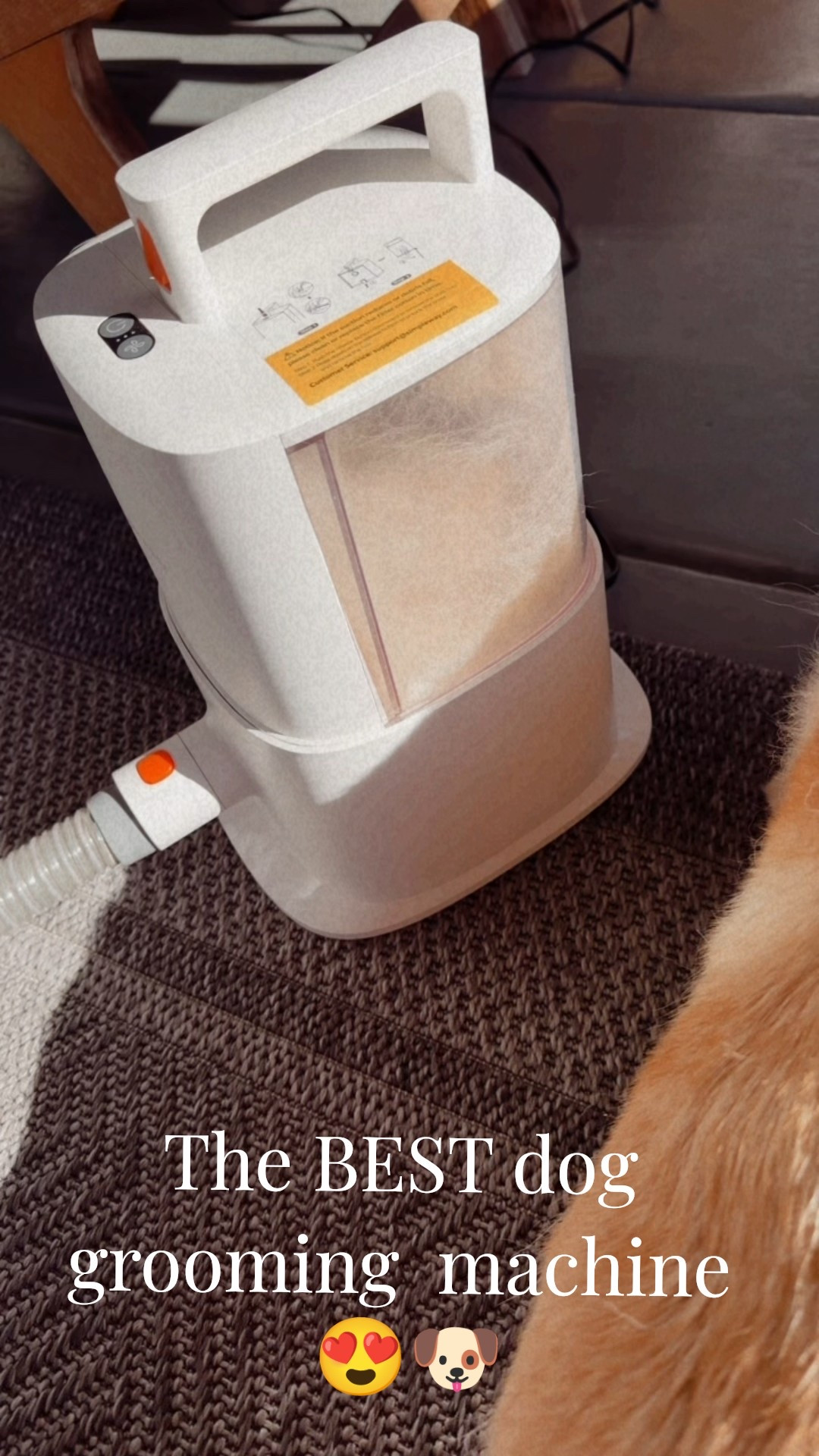 Literally the best machine! 

We have a lab and this helps keep her nice and clean. 
Dog vacuum 
Dog mom 
Dogs 
Must have for dogs 

#LTKHome #LTKdayinmylife #LTKSaleAlert