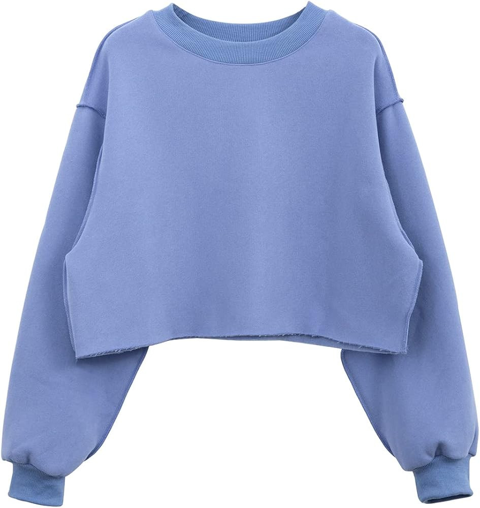 Amazhiyu Women Cropped Sweatshirt Long Sleeves Pullover Fleece Crop Tops | Amazon (US)