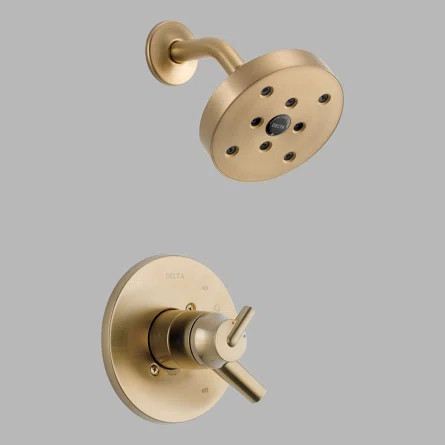 Delta Trinsic® Pressure-Balanced Shower Faucet with H2Okinetic Technology | Wayfair | Wayfair North America