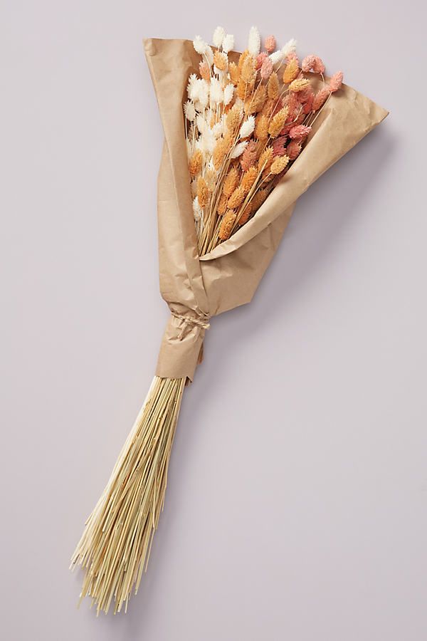 Dried Phoebe Bouquet By Anthropologie in Assorted | Anthropologie (US)