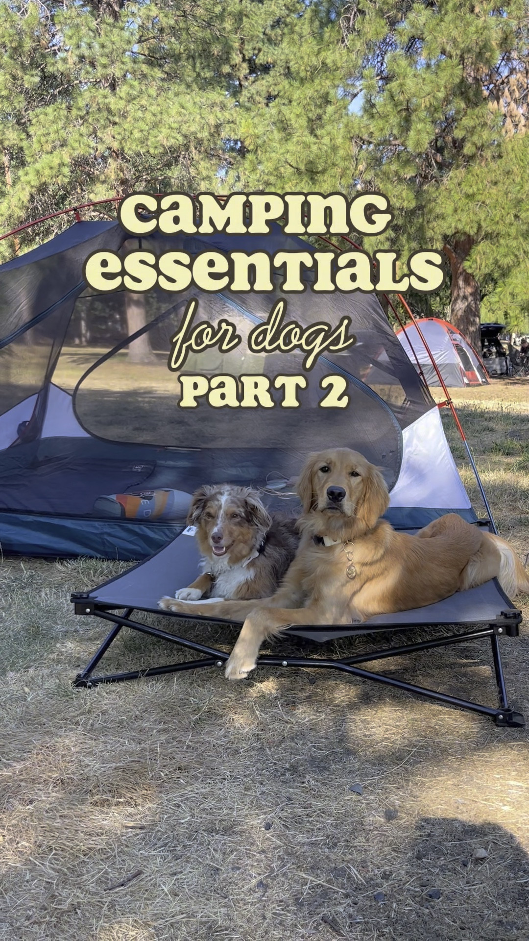 Camping Essentials Part 2! 



#LTKTravel #LTKFamily #LTKFindsUnder50