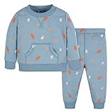 Gerber Baby & Toddler Boys' 2-Piece Fleece Sweatshirt and Jogger Set | Amazon (US)