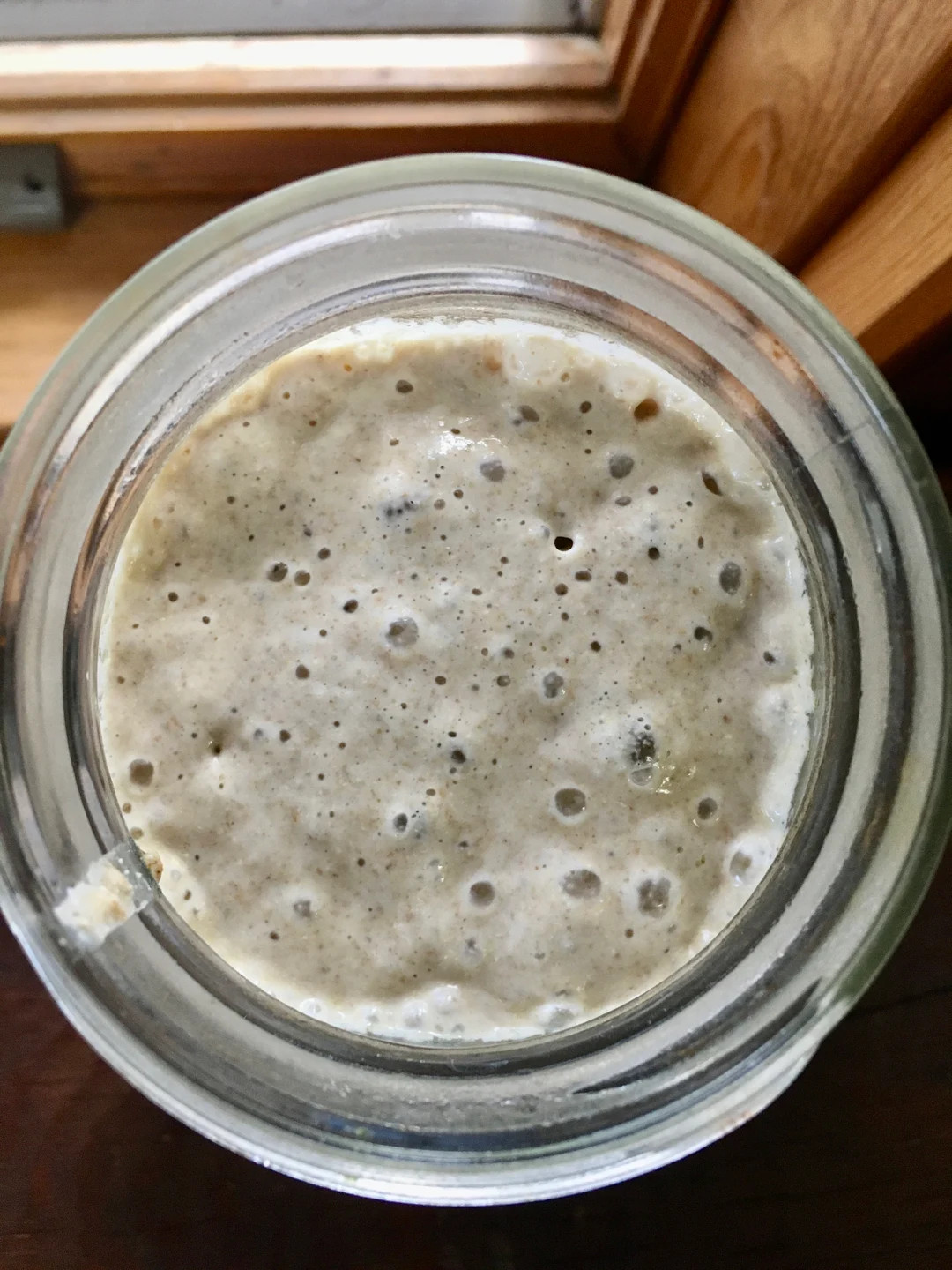120 Year-Old Sourdough Starter 2 oz. (Inherited from family, Rural Montana, Fresh, Bubbly, ACTIVE... | Etsy (US)