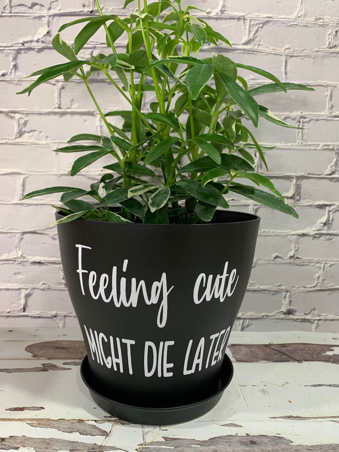 Feeling Cute, Might Die Later Planter - Etsy | Etsy (US)