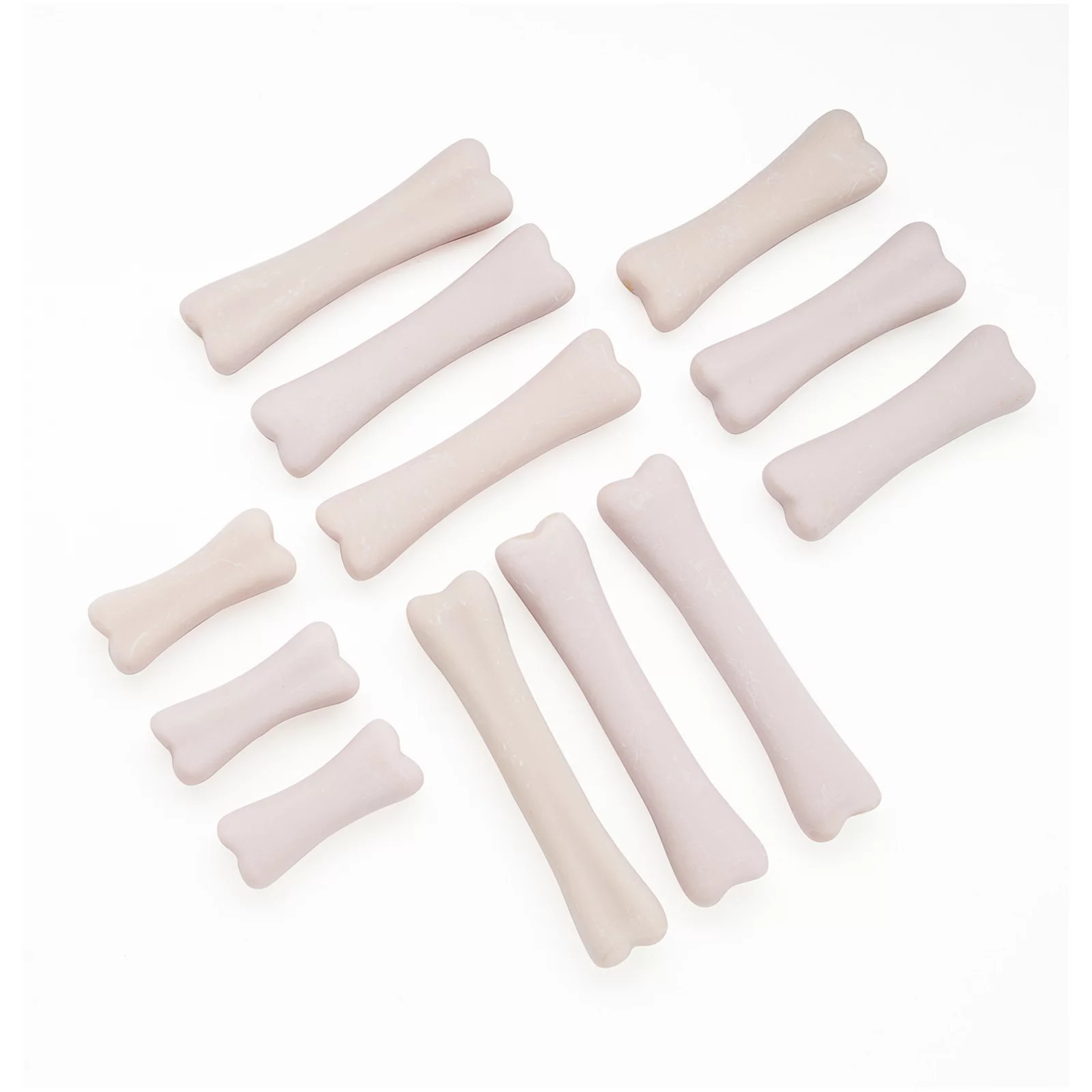 Yellow Door Dinosaur Bones Discovery Set, White | Kohl's