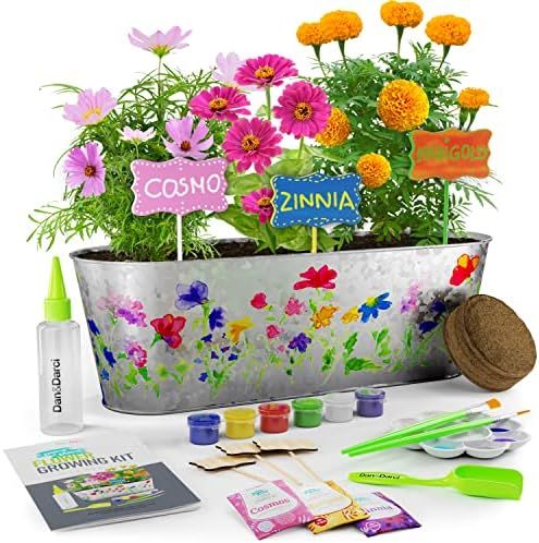 Amazon.com: Paint & Plant Flower Craft Kit for Kids - Best Birthday Crafts Gifts for Girls & Boys... | Amazon (US)