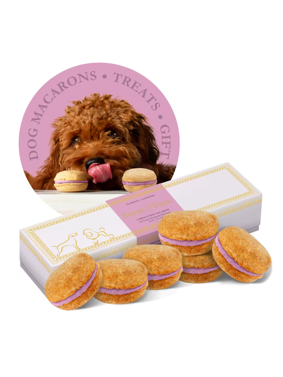 Dog Macarons - Count 6 | Saks Fifth Avenue