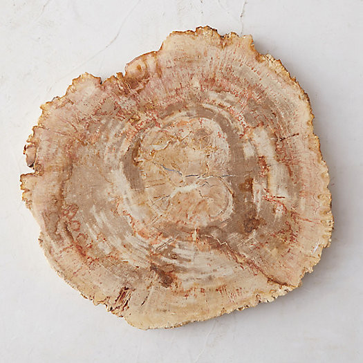 Petrified Wood Serving Board | Terrain