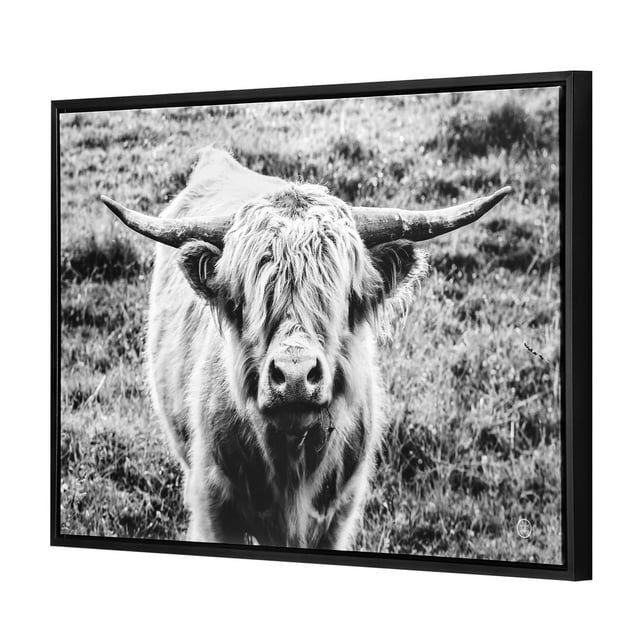 Crystal Art Gallery Highland Cow Framed Digital Print Size 36"x24" by Wild Apple | Walmart (US)