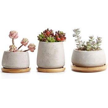 T4U 3 Inch - 4.25 Inch Cement Succulent Cactus Pot, Concrete Planter Pot Container Window Box, Sm... | Amazon (US)