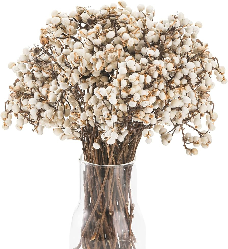 Youeon 250G Tallow Berries Dried, Dried Flowers Natural Plant DIY, Natural Stem Bouquet for Home,... | Amazon (US)