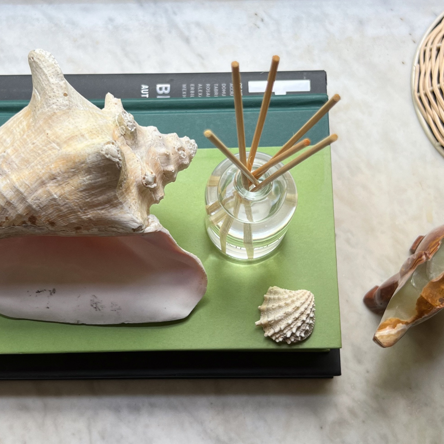 a diffuser that instantly brings sunshine into a room ⛅️

#LTKhome #LTKGiftGuide #LTKunder50