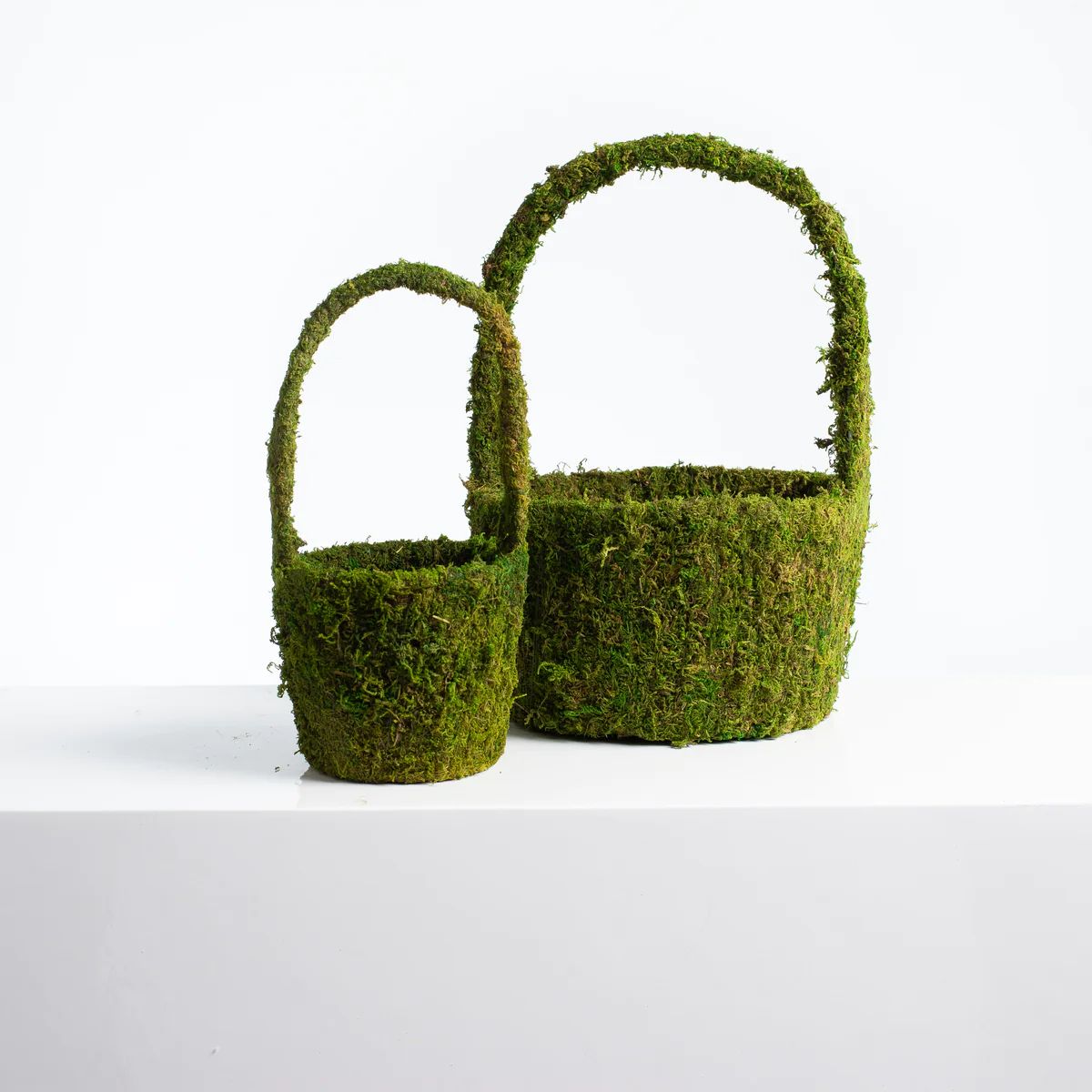 Preserved Moss Coated Easter Basket Planter with Liner - Available in 2 Sizes | Darby Creek Trading