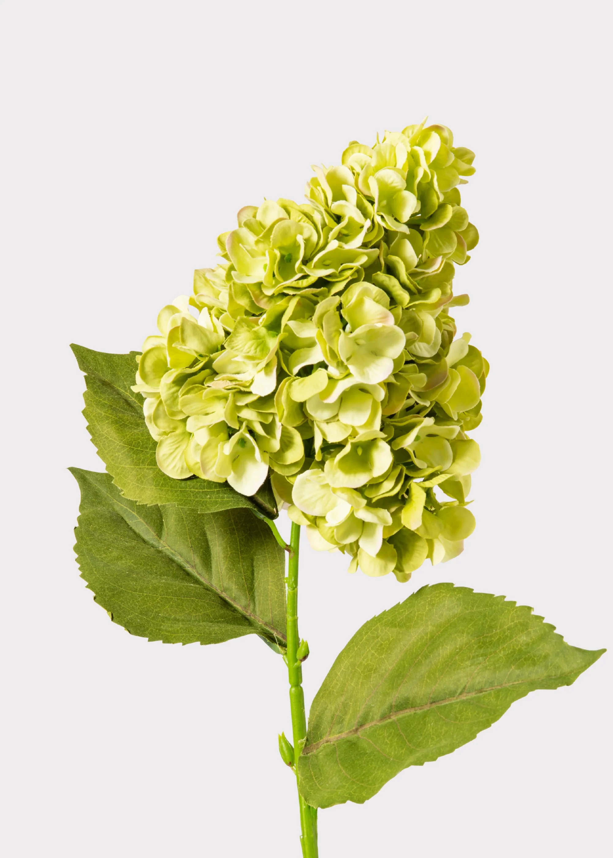 UV Treated Green Cone Hydrangea Outdoor Fake Flower - 29 | Afloral