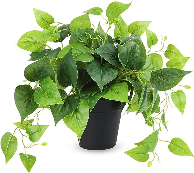 JPSOR Faux Plants Indoor, Artificial Plants for Home Decor Small Fake Plant Fake Potted Plants Fa... | Amazon (US)