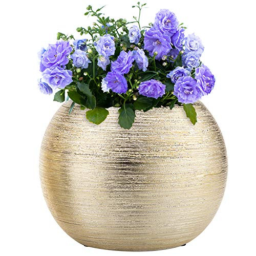 MyGift 7-Inch Round Modern Metallic Gold-Tone Ridged Ceramic Plant Flower Planter Pot, Decorative... | Amazon (US)