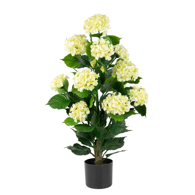 Out-HYDPI-37-1pk | Wayfair North America