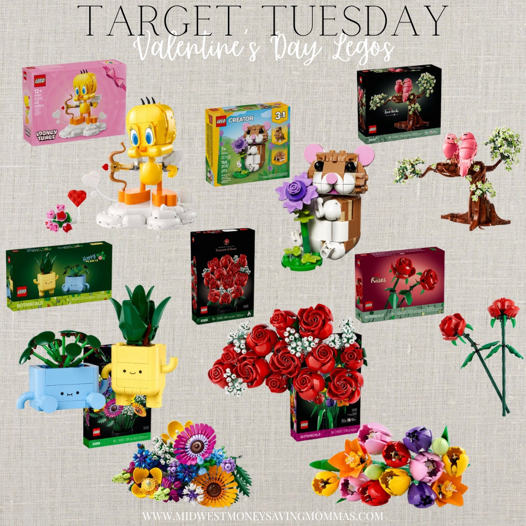 Valentine’s Day legos 

Target Tuesday  toys  gifts for kids  Lego toys 

#LTKKids #LTKSeasonal #LTKFindsUnder100