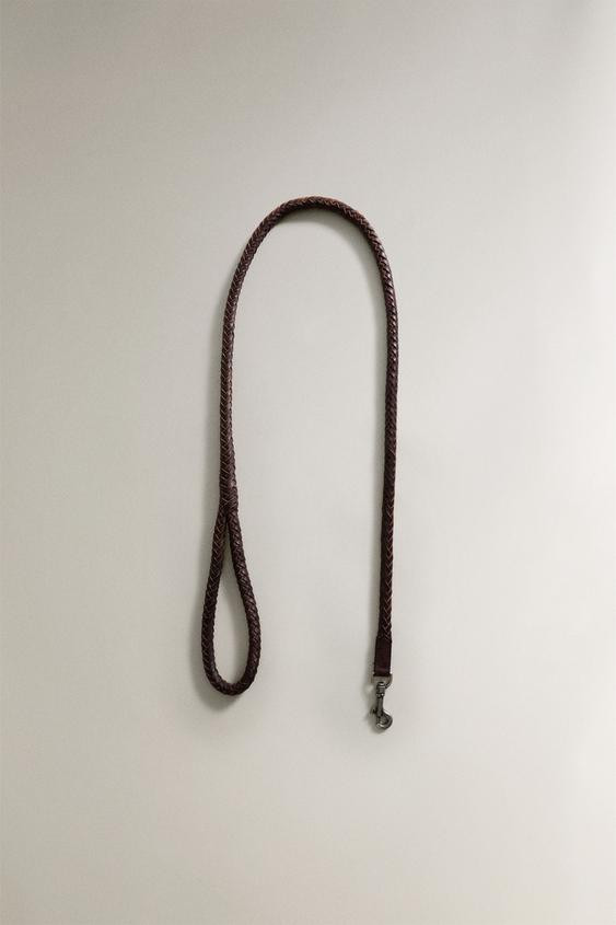 BRAIDED LEATHER DOG LEASH | Zara US