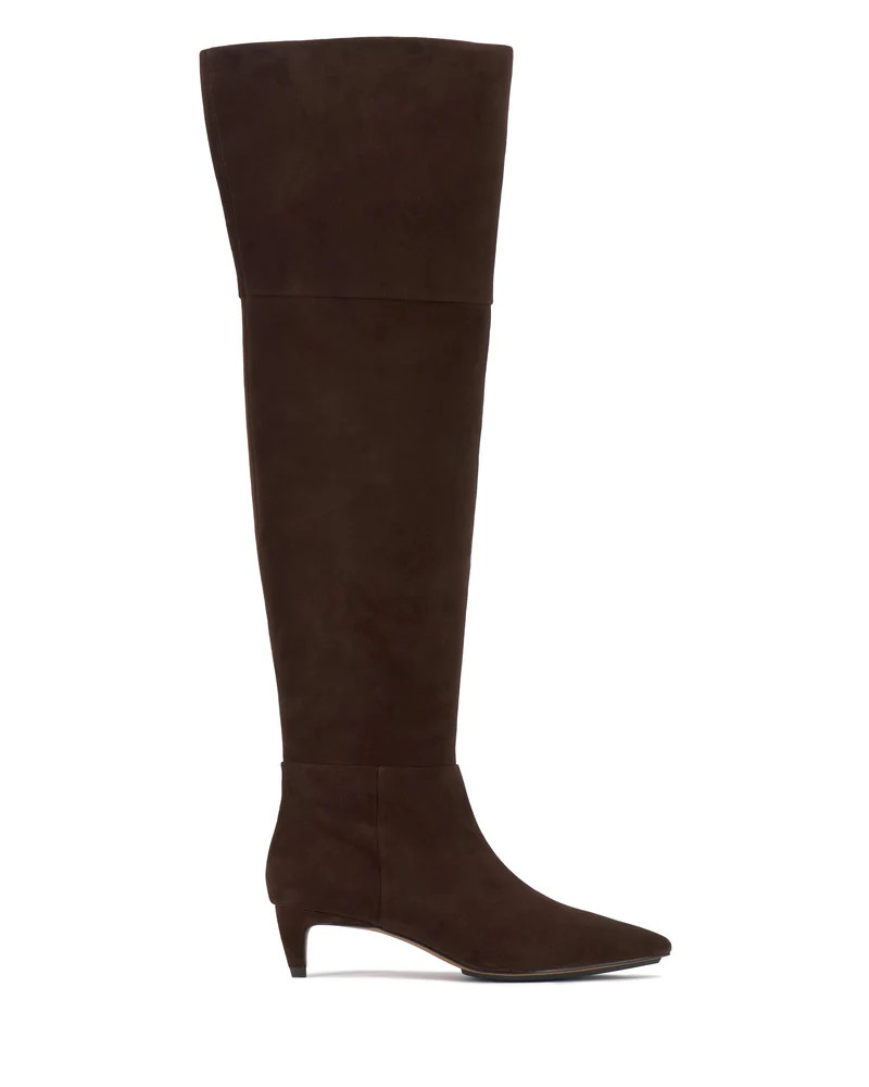 Iana Over the Knee Boot | Vince Camuto
