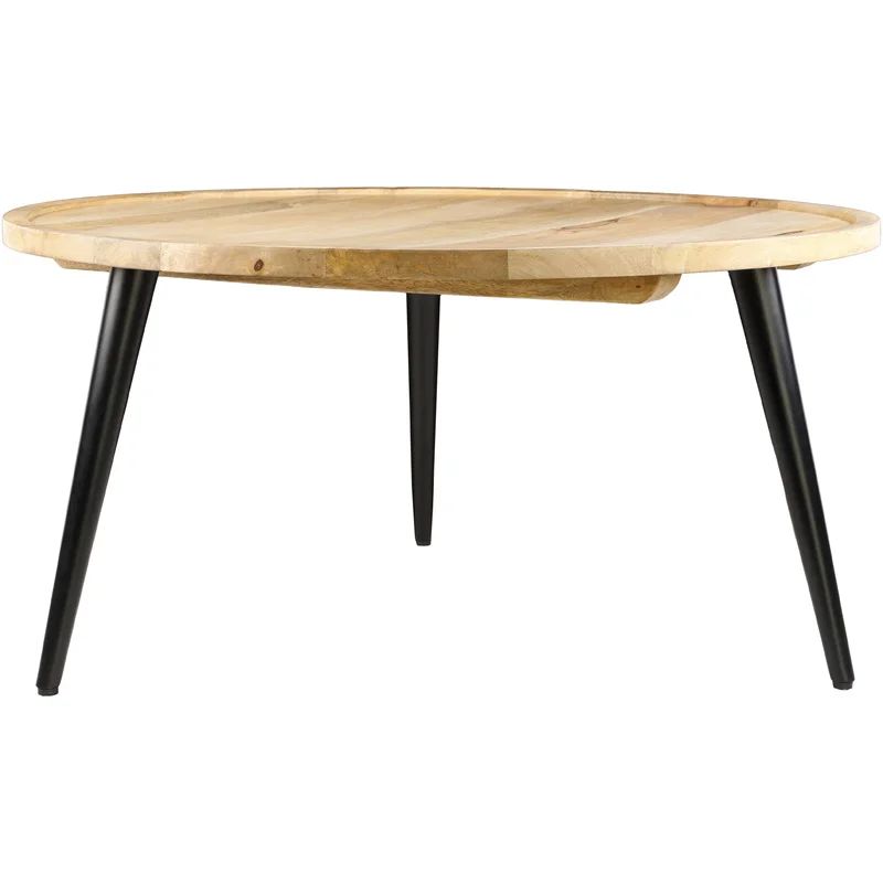 Avianah Modern Coffee Table | Wayfair North America