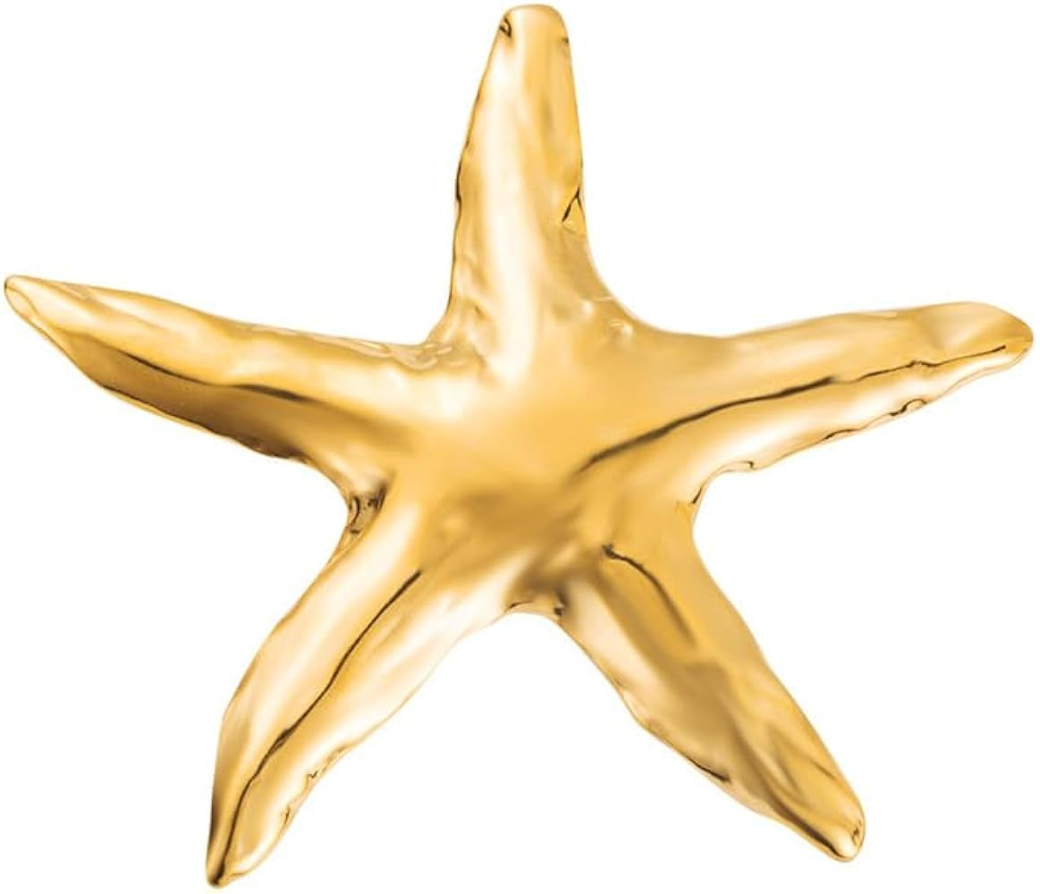 Ocean Starfish Brooch Pin for Women Gold Plated Stainless Steel Fashion Sea Star Marine Style Bro... | Amazon (US)