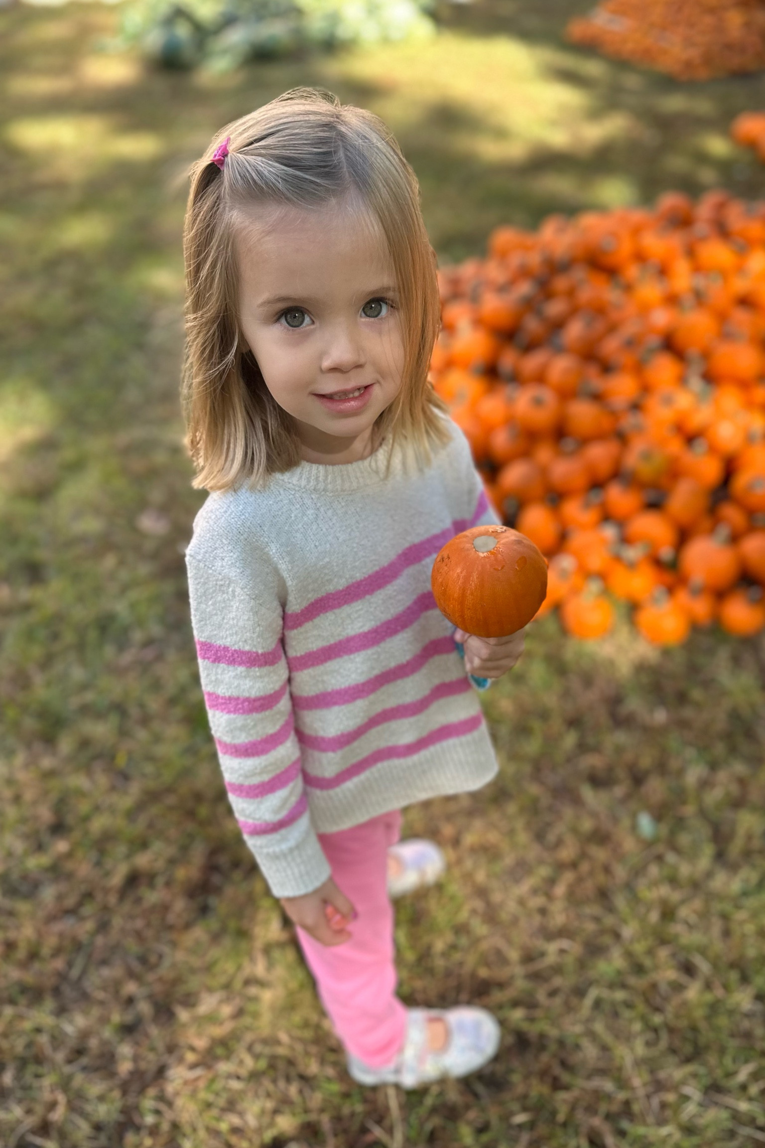 My little pumpkin in her kid’s J.Crew pink and white stripes 💕💕

#LTKKids #LTKSaleAlert #LTKBaby