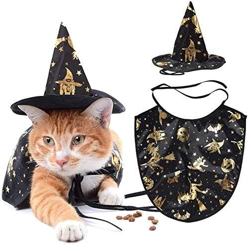 Gushehua 2PCS Cat Dog Vampire Cloak and Witch Hat for Halloween Party Holiday Cosplay Kitten Pupp... | Amazon (US)