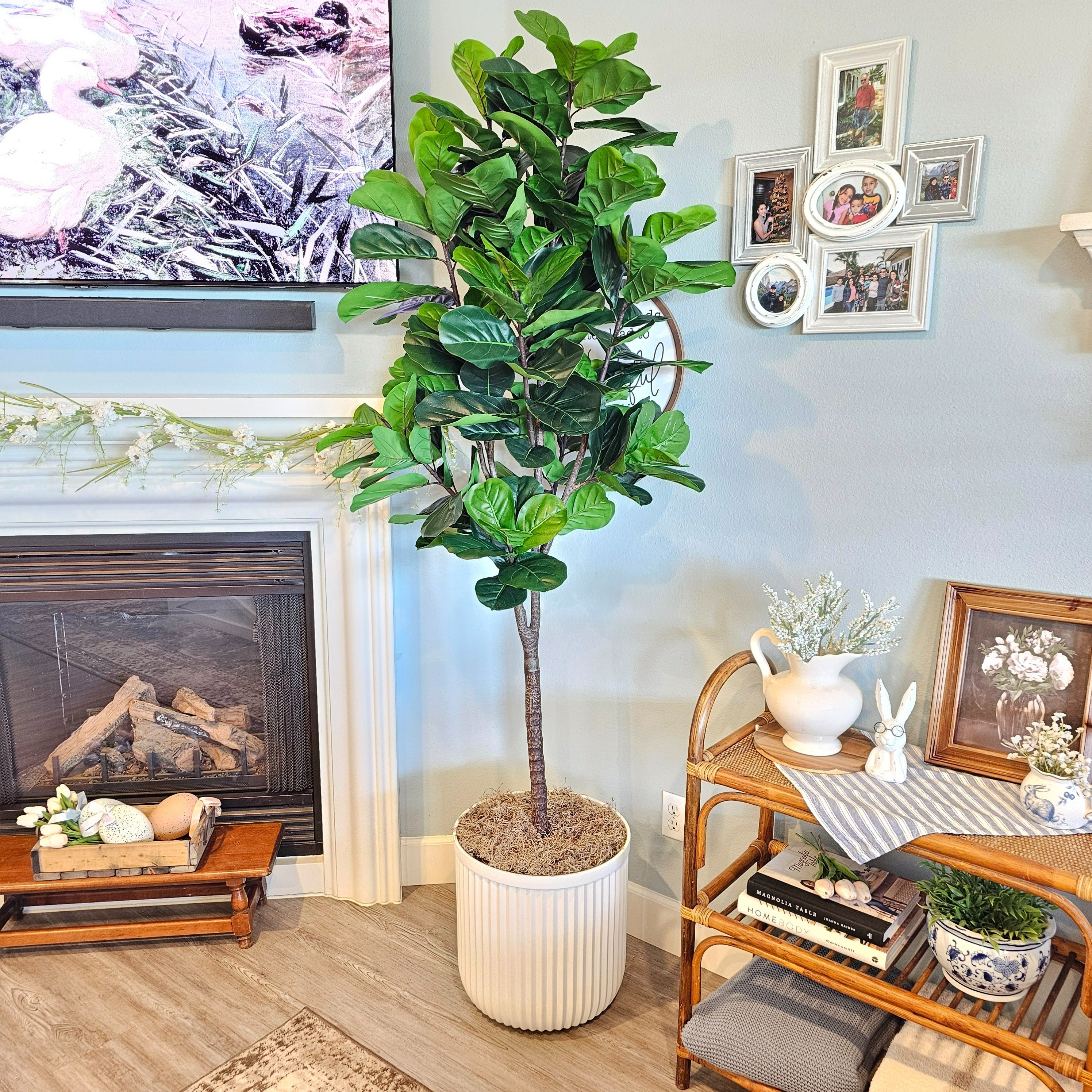 This 7 foot faux fig tree brought life to my living room! It has beautiful realistic looking leaves and was super easy to assemble. I bought a white planter to put it in. I feel like it matches well with my decor.

#LTKhome #LTKstyletip #LTKSeasonal