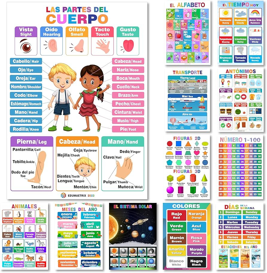 12 Spanish English Bilingual Educational Posters Water Proof Learning Chart for Preschool, Kinder... | Amazon (US)
