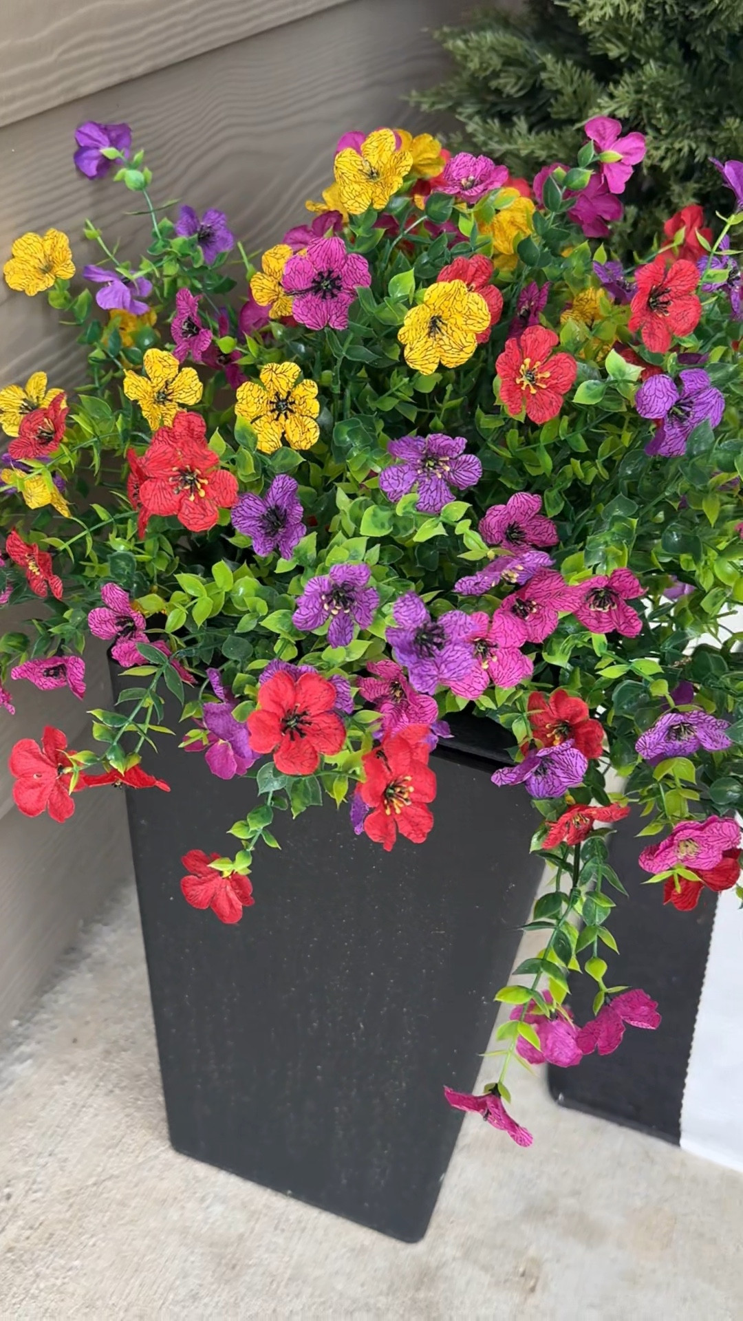 Front porch decor that fooled my mom 😏🌸

We had family over for Easter and she kept complimenting my flowers… and I didn’t have the heart to tell her they’re fake 😂

These are UV resistant, super realistic, and require ZERO work. No watering, no upkeep—just full, lush planters that look amazing all the time.

• #homedecor
• #outdoorliving
• #frontporchdecor
• #springdecor
• #decorideas