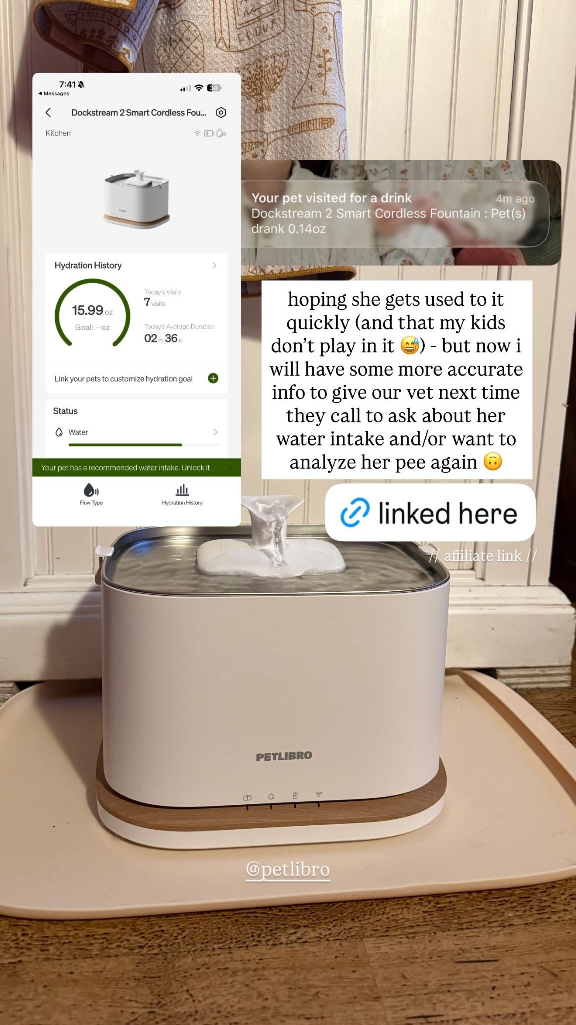 hoping she gets used to it quickly (and that my kids don’t play in it 😅) - but now i will have some more accurate info to give our vet next time they call to ask about her water intake and/or want to analyze her pee again 🙃 @petlibro