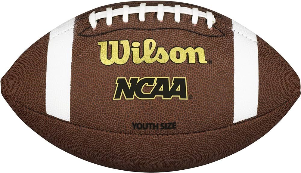 Wilson NCAA Composite Football | Amazon (US)