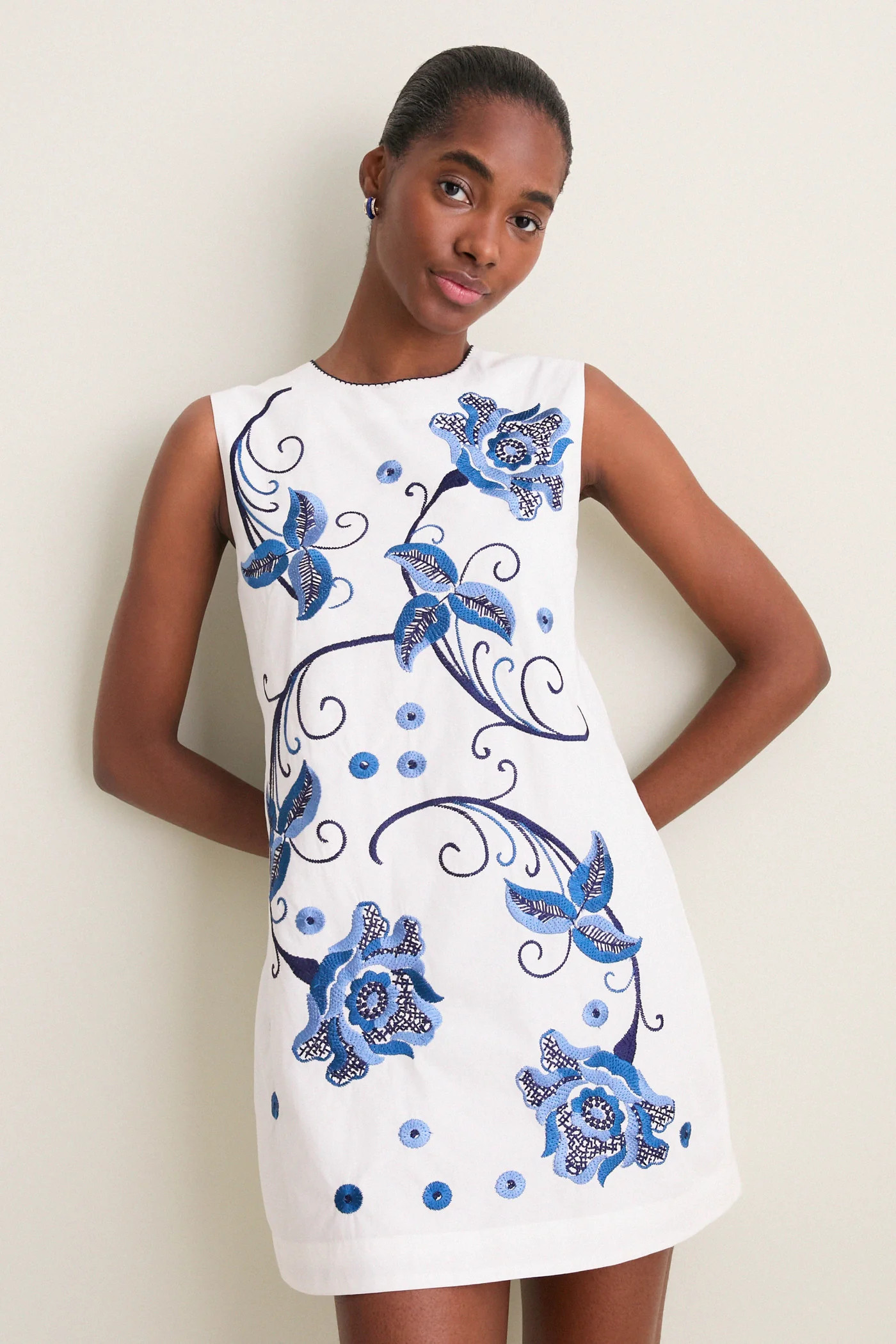 Kimber Embroidery Tiffany Mini Dress | Tuckernuck (US)