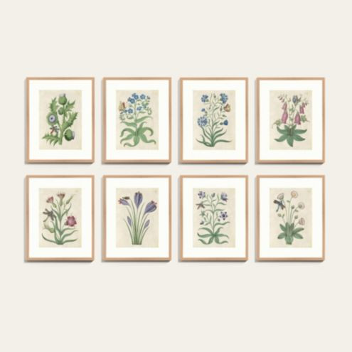 Book of Flower Studies Art | Ballard Designs, Inc.