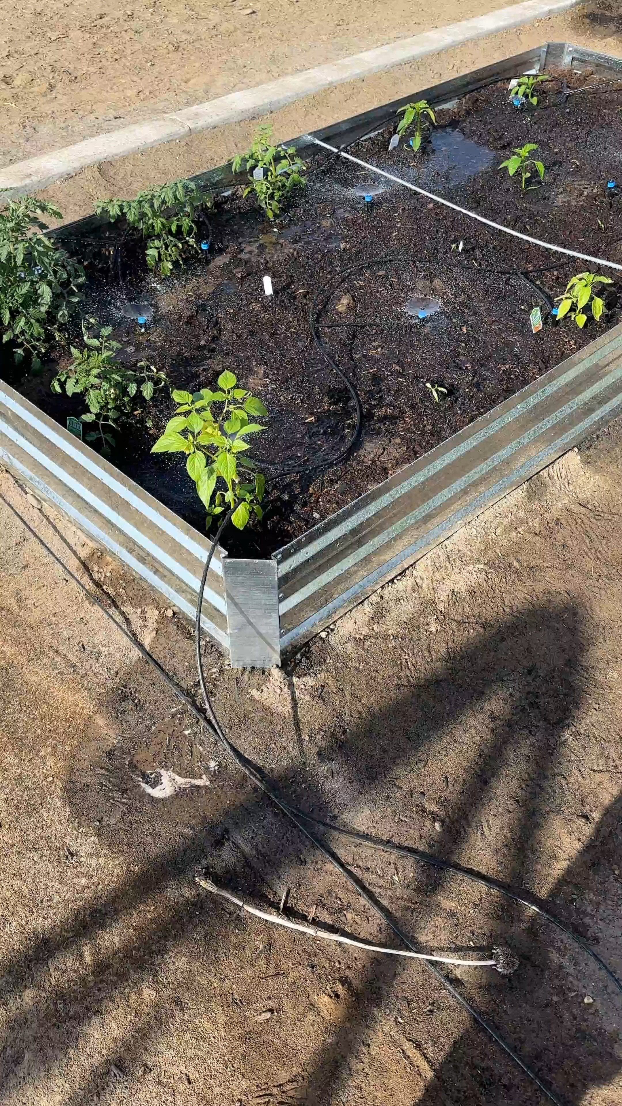 Raised garden beds, time to get planting. #garden #planting #pants #gardeningg

#LTKSeasonal #LTKVideo