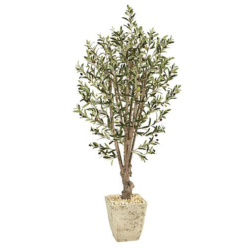 Nearly Natural 5’ Artificial Olive Tree in Country White Planter | HSN